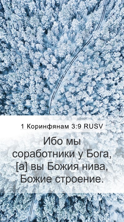 1 Коринфянам 3:9 RUSV Bible Verse Image