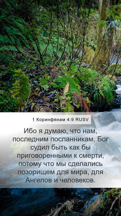 1 Коринфянам 4:9 RUSV Bible Verse Image