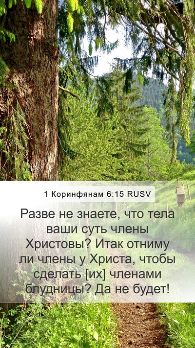 1 Коринфянам 6:15 RUSV Bible Verse Image