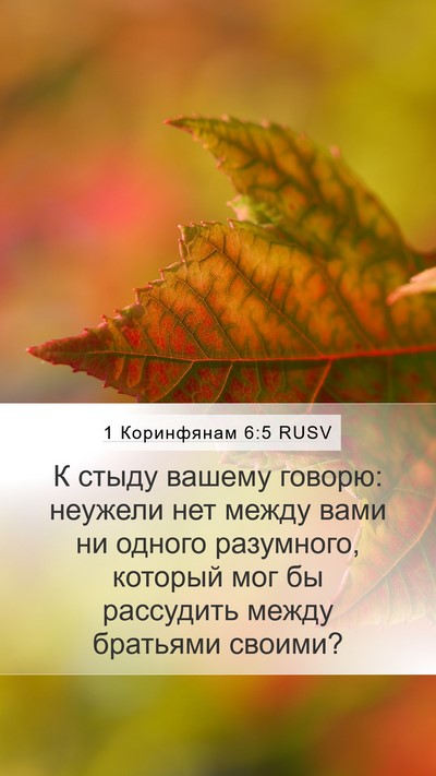 1 Коринфянам 6:5 RUSV Bible Verse Image