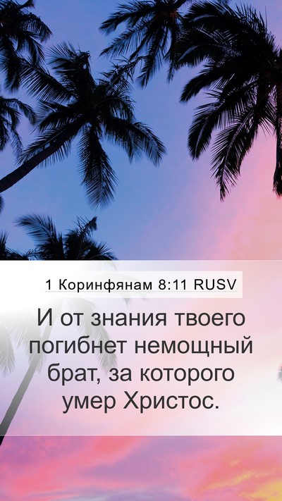 1 Коринфянам 8:11 RUSV Bible Verse Image