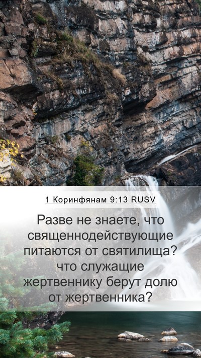 1 Коринфянам 9:13 RUSV Bible Verse Image