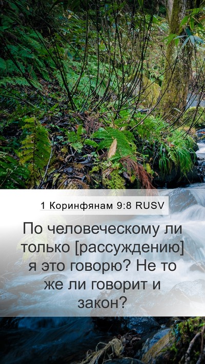 1 Коринфянам 9:8 RUSV Mobile Phone Wallpaper - По человеческому ли только - Mobile Bible Verse Wallpaper