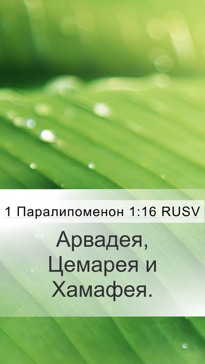 1 Паралипоменон 1:16 RUSV Mobile Phone Wallpaper - Арвадея, Цемарея и - Mobile Bible Verse Wallpaper