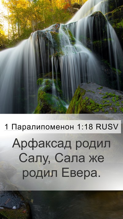 1 Паралипоменон 1:18 RUSV Mobile Phone Wallpaper - Арфаксад родил Салу, Сала - Mobile Bible Verse Wallpaper