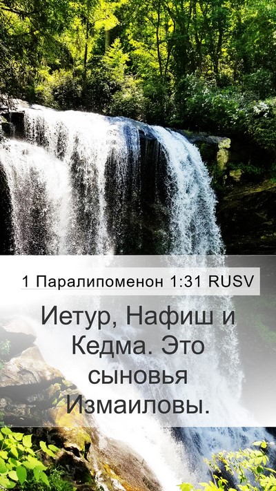 1 Паралипоменон 1:31 RUSV Bible Verse Image