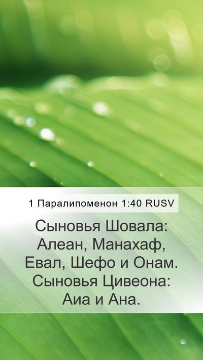 1 Паралипоменон 1:40 RUSV Bible Verse Image