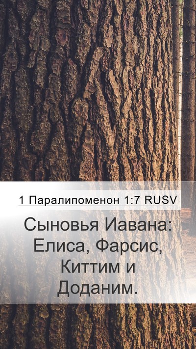 1 Паралипоменон 1:7 RUSV Bible Verse Image
