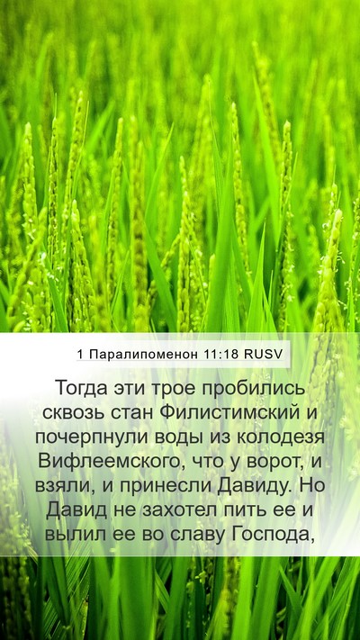 1 Паралипоменон 11:18 RUSV Mobile Phone Wallpaper - Тогда эти трое пробились - Mobile Bible Verse Wallpaper