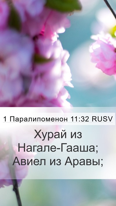1 Паралипоменон 11:32 RUSV Bible Verse Image