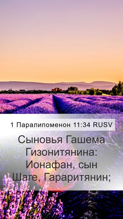 1 Паралипоменон 11:34 RUSV Bible Verse Image