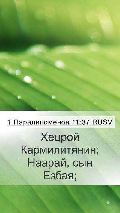 1 Паралипоменон 11:37 RUSV Bible Verse Image