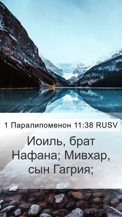 1 Паралипоменон 11:38 RUSV Bible Verse Image