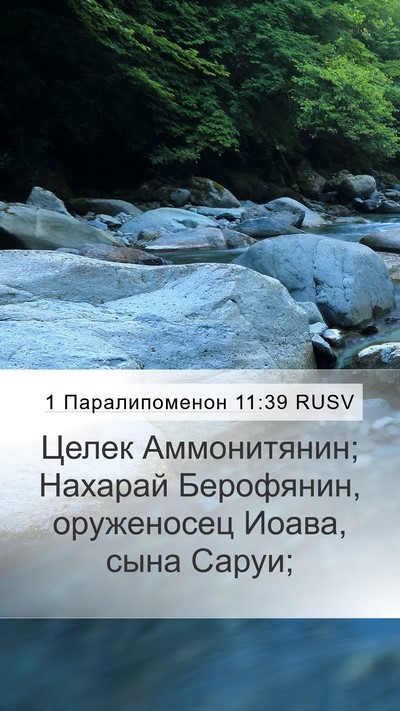 1 Паралипоменон 11:39 RUSV Bible Verse Image