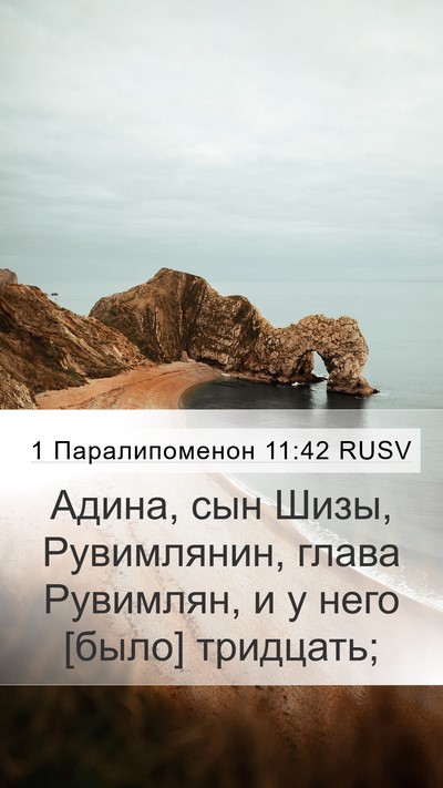 1 Паралипоменон 11:42 RUSV Mobile Phone Wallpaper - Адина, сын Шизы, - Mobile Bible Verse Wallpaper