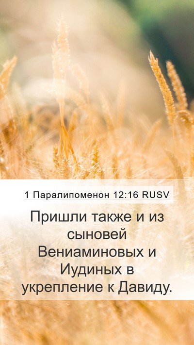 1 Паралипоменон 12:16 RUSV Bible Verse Image