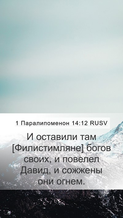 1 Паралипоменон 14:12 RUSV Bible Verse Image