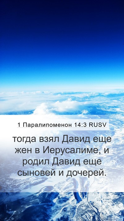 1 Паралипоменон 14:3 RUSV Mobile Phone Wallpaper - тогда взял Давид еще жен в - Mobile Bible Verse Wallpaper