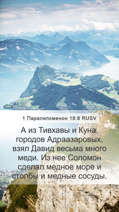 1 Паралипоменон 18:8 RUSV Bible Verse Image