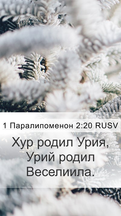 1 Паралипоменон 2:20 RUSV Mobile Phone Wallpaper - Хур родил Урия, Урий родил - Mobile Bible Verse Wallpaper