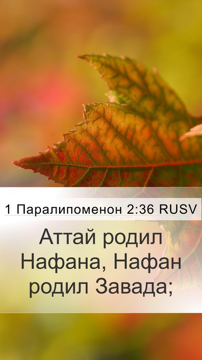 1 Паралипоменон 2:36 RUSV Bible Verse Image