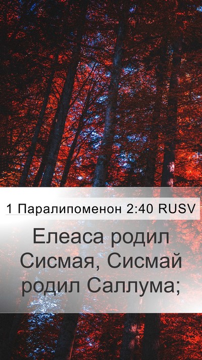 1 Паралипоменон 2:40 RUSV Mobile Phone Wallpaper - Елеаса родил Сисмая, - Mobile Bible Verse Wallpaper