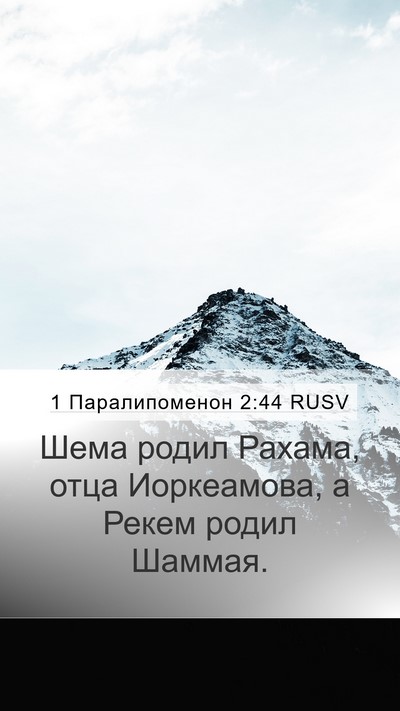 1 Паралипоменон 2:44 RUSV Mobile Phone Wallpaper - Шема родил Рахама, отца - Mobile Bible Verse Wallpaper