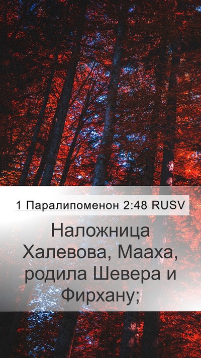 1 Паралипоменон 2:48 RUSV Mobile Phone Wallpaper - Наложница Халевова, Мааха, - Mobile Bible Verse Wallpaper