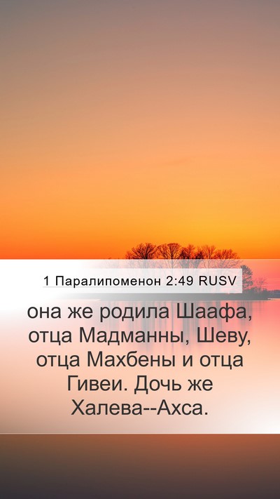 1 Паралипоменон 2:49 RUSV Bible Verse Image