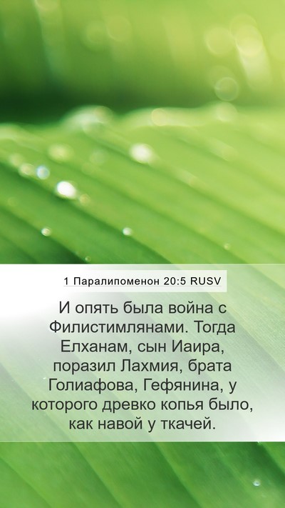 1 Паралипоменон 20:5 RUSV Bible Verse Image
