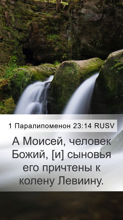 1 Паралипоменон 23:14 RUSV Bible Verse Image