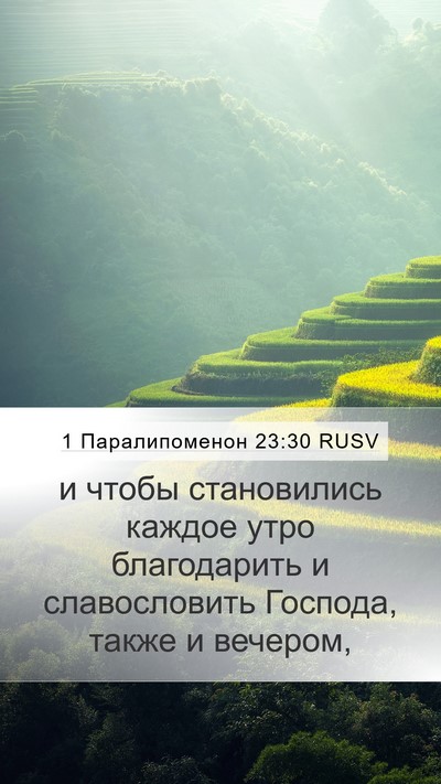 1 Паралипоменон 23:30 RUSV Bible Verse Image