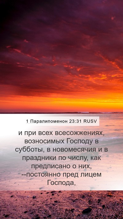 1 Паралипоменон 23:31 RUSV Bible Verse Image