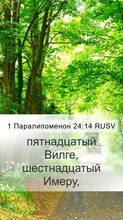 1 Паралипоменон 24:14 RUSV Bible Verse Image