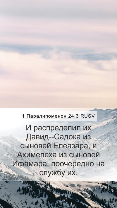 1 Паралипоменон 24:3 RUSV Bible Verse Image