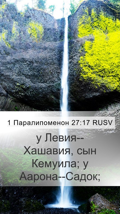 1 Паралипоменон 27:17 RUSV Bible Verse Image