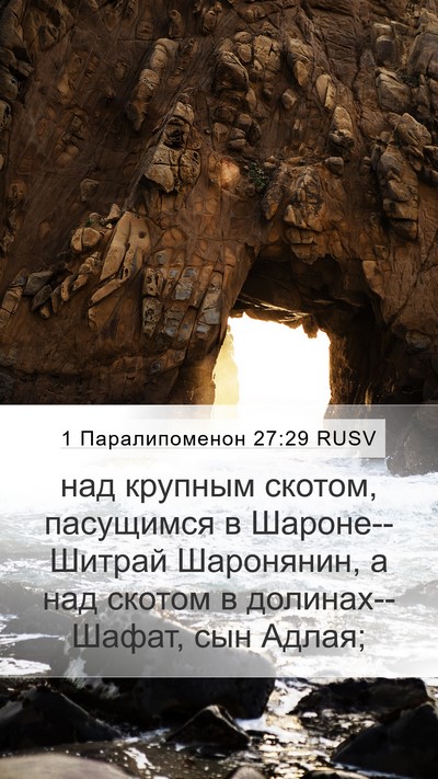 1 Паралипоменон 27:29 RUSV Bible Verse Image