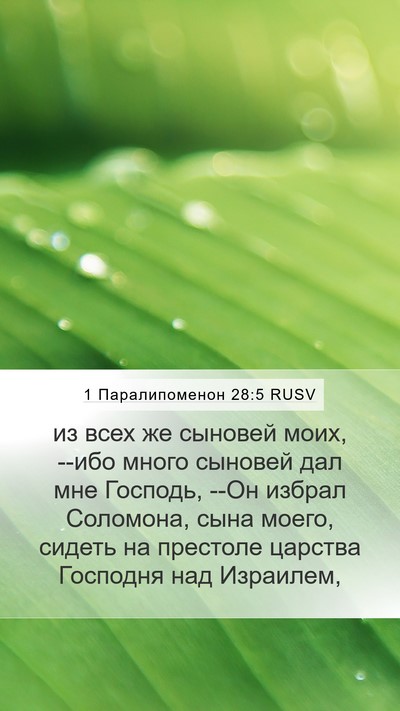 1 Паралипоменон 28:5 RUSV Bible Verse Image