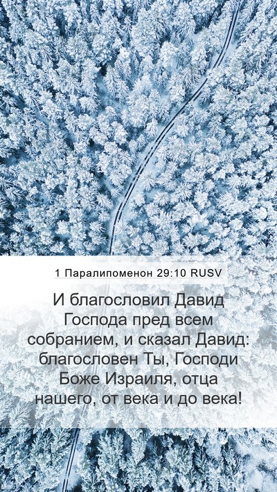 1 Паралипоменон 29:10 RUSV Bible Verse Image