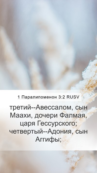 1 Паралипоменон 3:2 RUSV Bible Verse Image