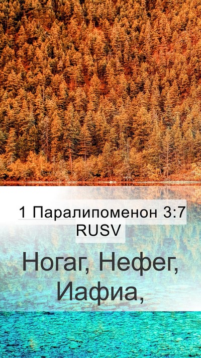 1 Паралипоменон 3:7 RUSV Mobile Phone Wallpaper - Ногаг, Нефег, - Mobile Bible Verse Wallpaper