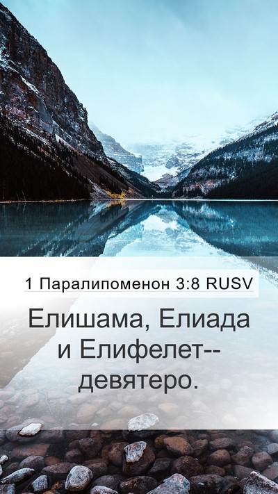 1 Паралипоменон 3:8 RUSV Bible Verse Image