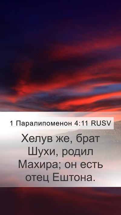 1 Паралипоменон 4:11 RUSV Mobile Phone Wallpaper - Хелув же, брат Шухи, родил - Mobile Bible Verse Wallpaper