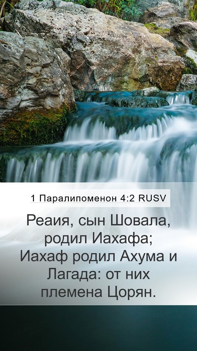 1 Паралипоменон 4:2 RUSV Mobile Phone Wallpaper - Реаия, сын Шовала, родил - Mobile Bible Verse Wallpaper