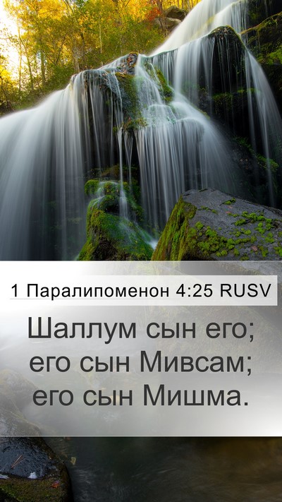 1 Паралипоменон 4:25 RUSV Mobile Phone Wallpaper - Шаллум сын его; его сын - Mobile Bible Verse Wallpaper