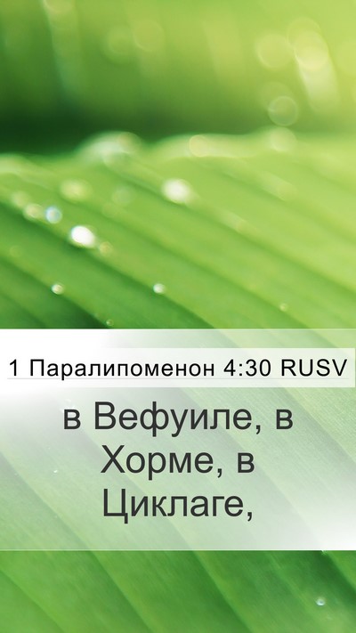 1 Паралипоменон 4:30 RUSV Bible Verse Image