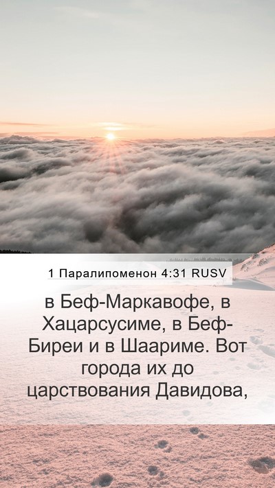 1 Паралипоменон 4:31 RUSV Bible Verse Image
