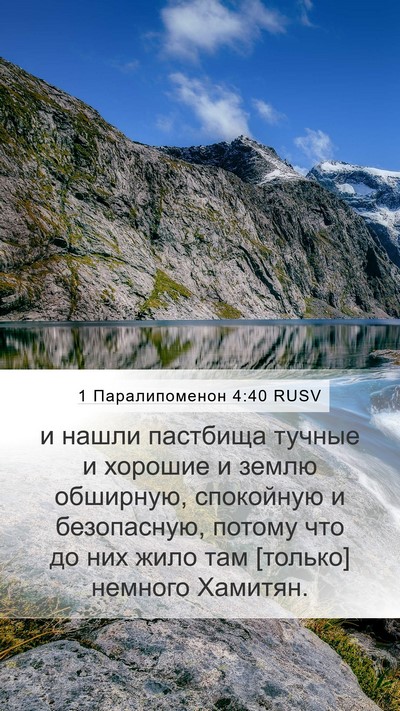 1 Паралипоменон 4:40 RUSV Bible Verse Image
