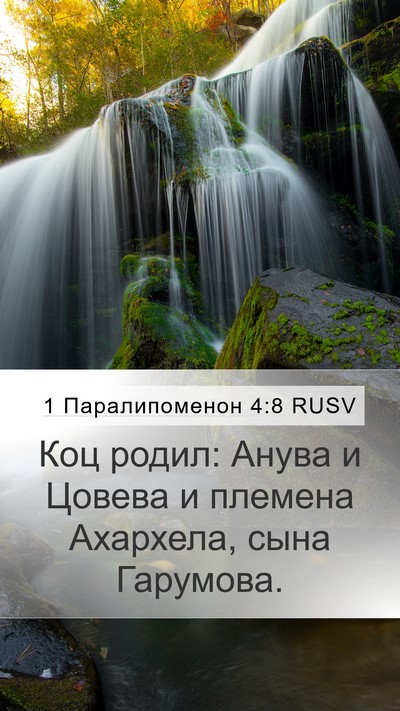 1 Паралипоменон 4:8 RUSV Mobile Phone Wallpaper - Коц родил: Анува и Цовева и - Mobile Bible Verse Wallpaper