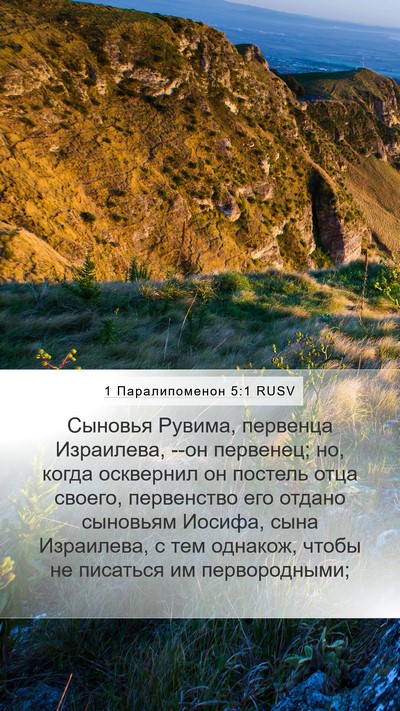 1 Паралипоменон 5:1 RUSV Bible Verse Image
